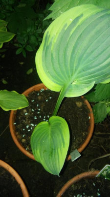 20160527_203514.jpg