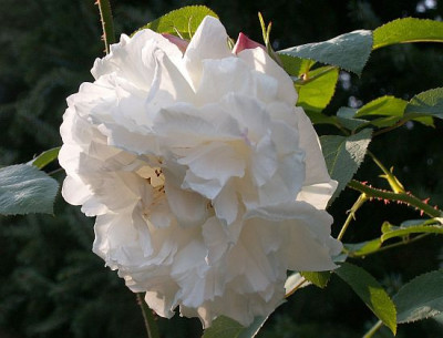 Winchester-09-06.jpg