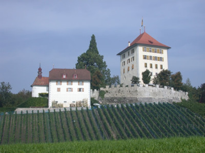 Schloss_Heidegg_29971_89.jpg