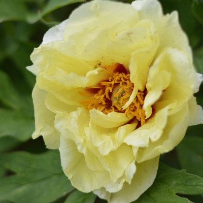 DSC_5442.jpg