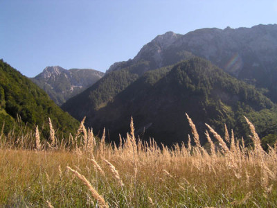 noch_nationalpark_kalkalpen1.jpg
