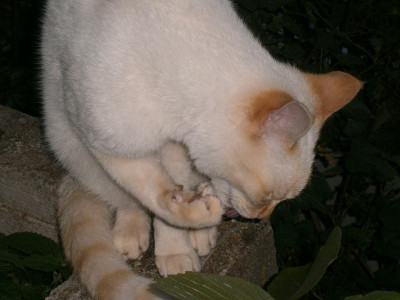 Pablo Mai 16 012.JPG