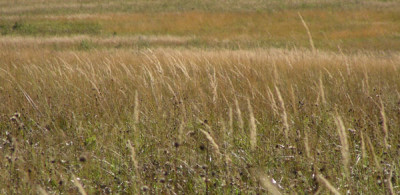 noch_nationalpark_kalkalpen3.jpg