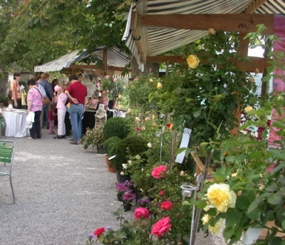 Schloss_Heidegg_29917_78.jpg