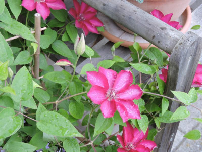 DSCN4281.JPG