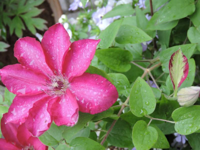 DSCN4279.JPG
