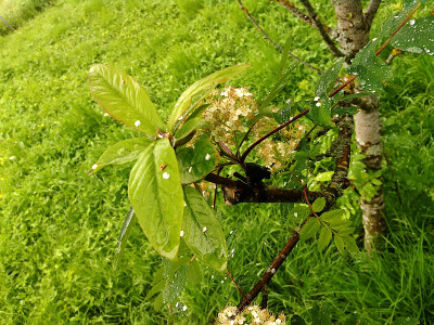 20160529_002.jpg