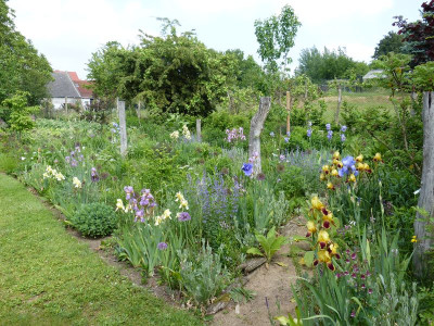 2016-05-30 Ahornbeet 1.jpg