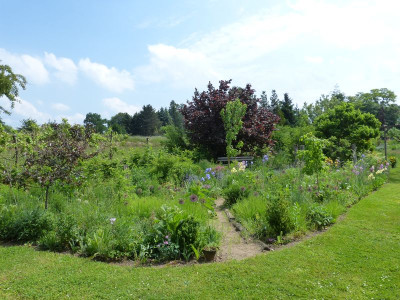 2016-05-30 Ahornbeet 2.jpg