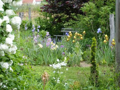 2016-05-30 Garteneinblick 4.jpg