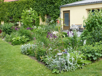 2016-05-30 Garteneinblick 1.jpg