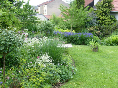 2016-05-30 Garteneinblick 2.jpg