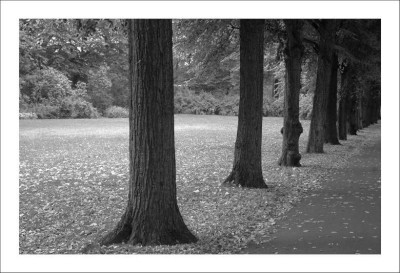 Frogner_2_23-09-2006.jpg