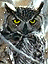 avatar11903_7.gif