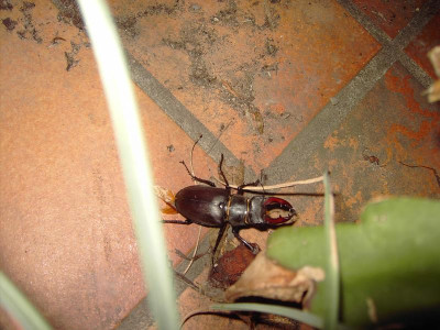 PICT1197.JPG