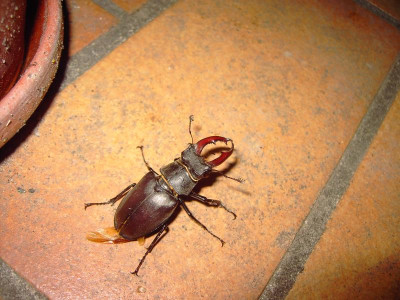 PICT1198.JPG