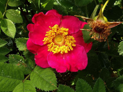 P6020565.JPG