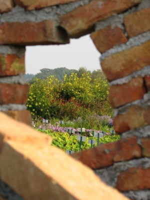 walls9.jpg