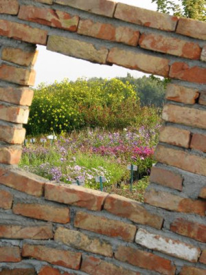 walls7.jpg