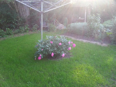 20160530_071849.jpg