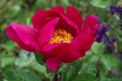IMGP0755.JPG