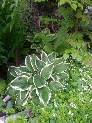 20160520_063556.jpg