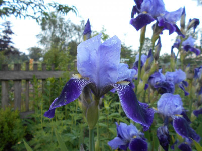 DSCN2107.JPG