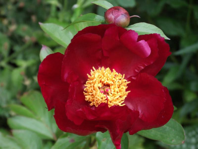 DSCF3050.JPG