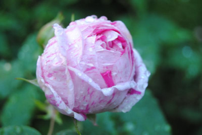 juni 074.jpg