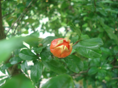 DSC05188.jpg