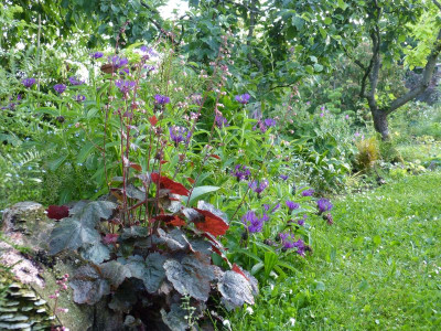 2016-06-02 Gartenimpressionen 4.jpg