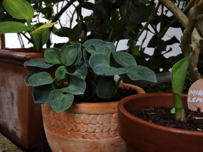 DSCN4415.JPG
