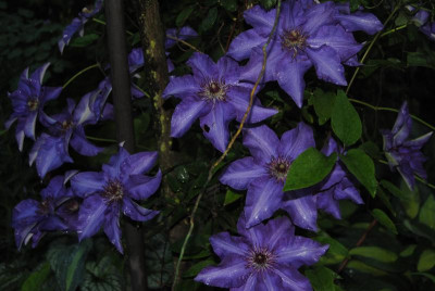 juni 052.jpg