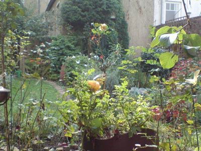 von_der_terrasse_2.JPG
