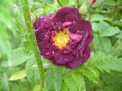 PICT1208.JPG
