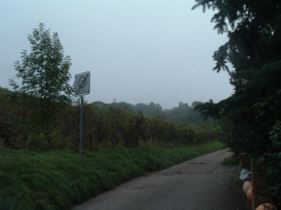 Herbststimmung.jpg