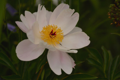 DSC_5576.jpg