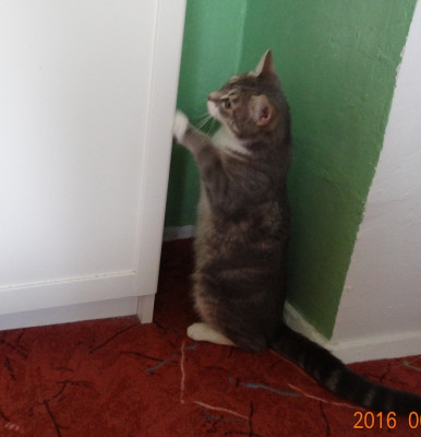 DSC02303.JPG