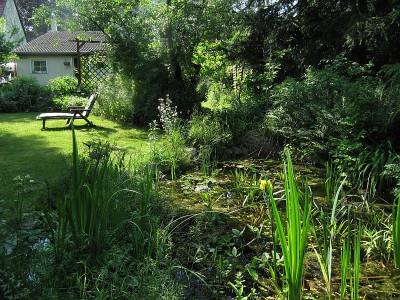IMG_8219_Gaenselieschens_Garten_04Juni2016_.jpg