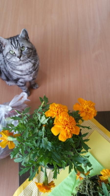 2016-06-06 12.00.23.jpg