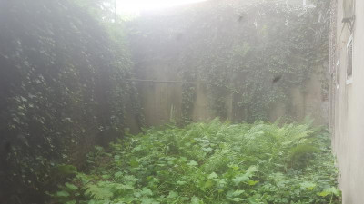20160606_153404.jpg