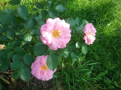 20160606_173155.jpg