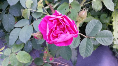20160606_182425.jpg