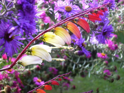 okt.06_009.jpg
