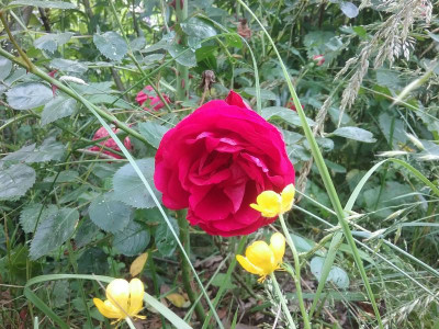 20160608_163353.jpg