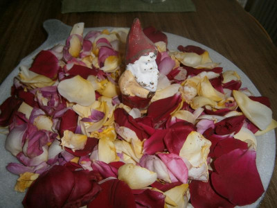 Rosenblütenblätter 004.JPG