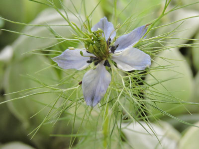DSCN4551.JPG