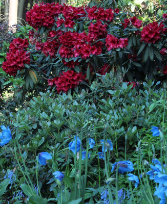 IMG_§174.jpg