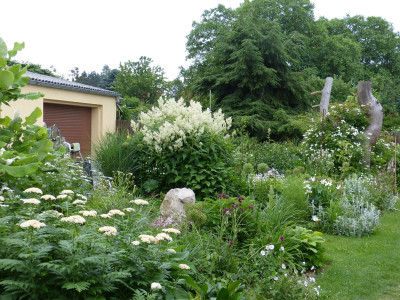 2016-06-09 Hofbeet 1.jpg