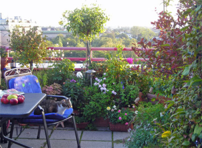 herbst_mit_elwood_01.jpg